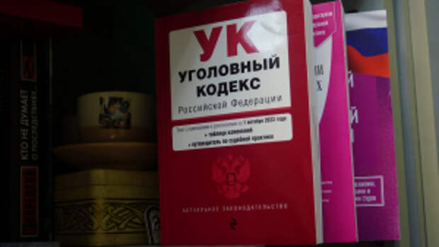 Полиция Северной Осетии задержала студентку медколледжа за обман бизнесвумен на 16 млн рублей