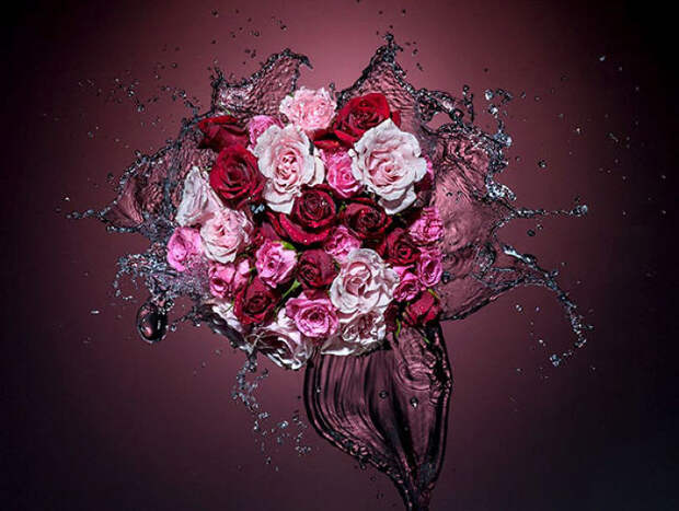 Splashing Roses Photography