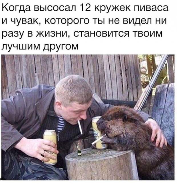 Клуб анонимных алкоголиков картинки, прикол, юмор