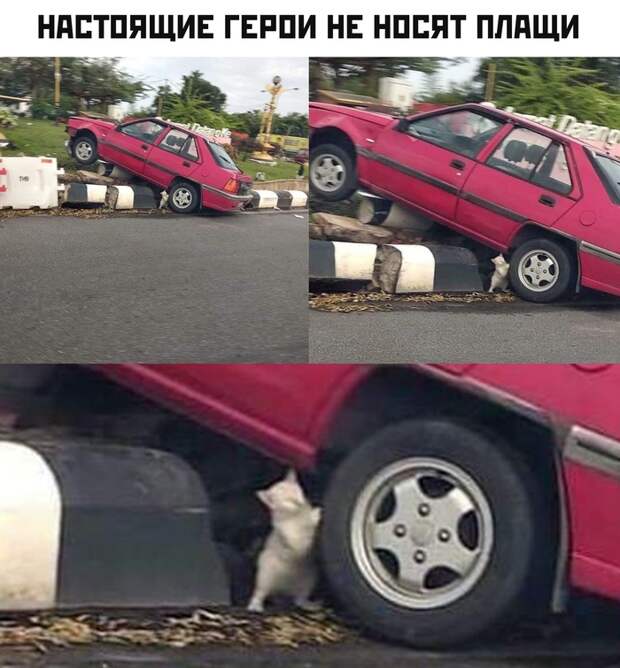 Настоящие герои не носят плащи