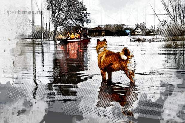 ОрелТаймс приглашает жителей совместно составить карту подтоплений в Орловской области