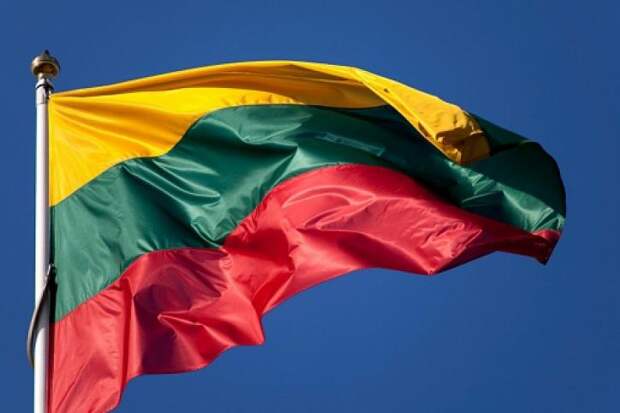 В Литве паникуют: граждан РФ у нас больше, чем своих солдат