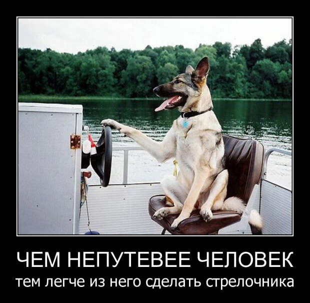 Забавные, веселые и смешные демотиваторы из нашей жизни