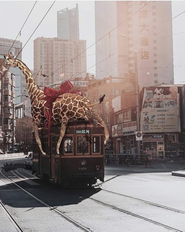 Вот для чего на самом деле придумали Photoshop