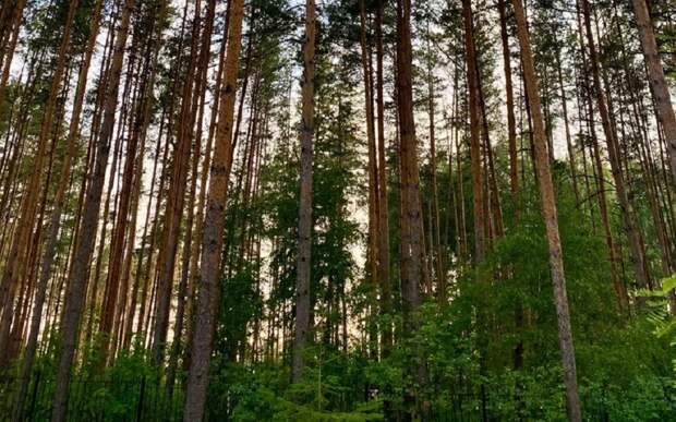 В Касимовском округе хотят развивать охотничий туризм