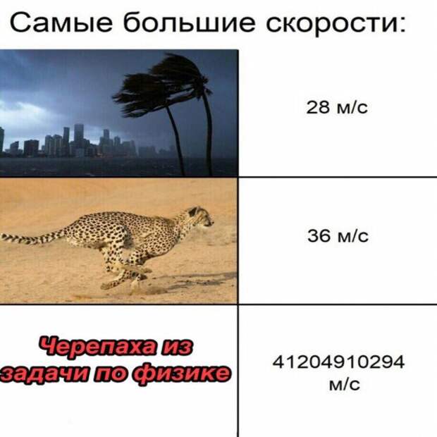 Нестандартный юмор :)
