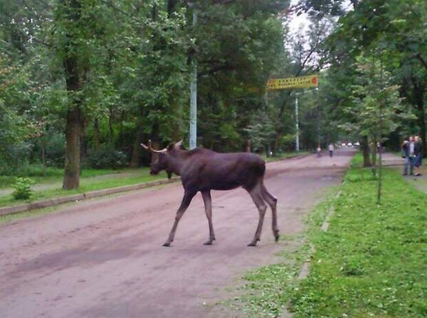 6 километров от Кремля