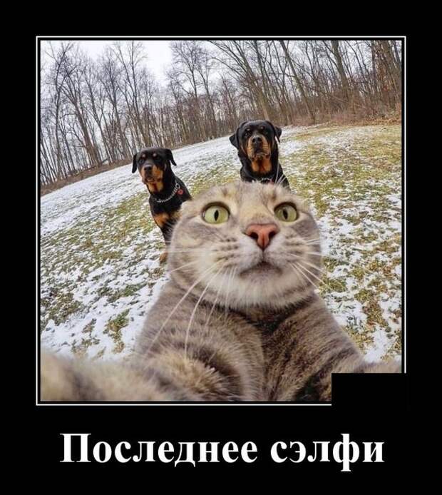www.vsyako.net