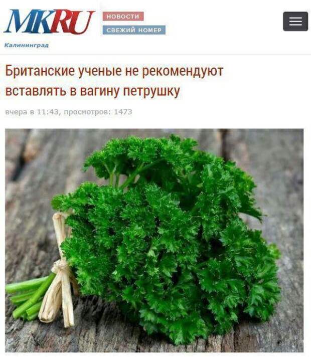 Гениальные заголовки из новостных лент Гениальные заголовки из новостных лент
