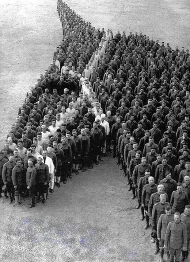 Кавалеристы в память о погибших лошадях инетресное, старые забавы, факты, фигуры из людей, флешмоб