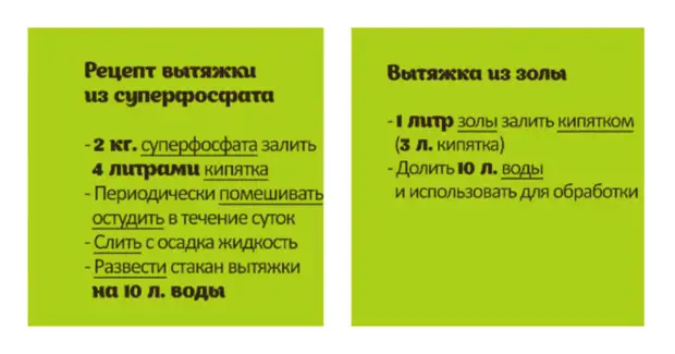 Несколько шагов, чтобы получить еще один урожай сладкого перца