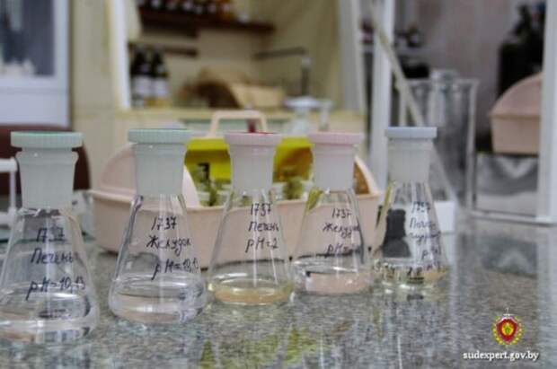 В Могилевской области от метанола умерли три человека.