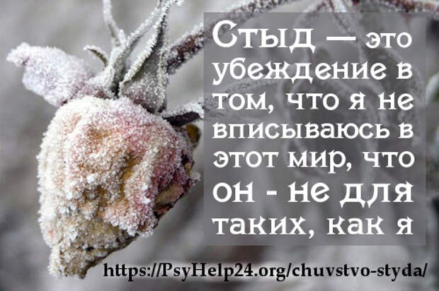https://psyhelp24.org/wp-content/uploads/2017/06/chyvstvo-stida-500.jpeg