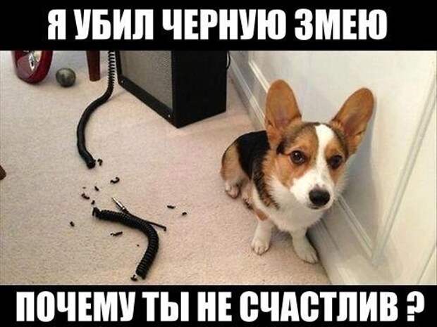 УЛЫБНИСЬ-КА :)