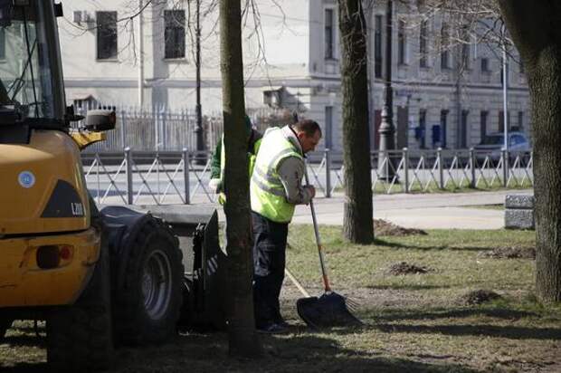 Субботник в Петроградском районе охватил 50 адресов