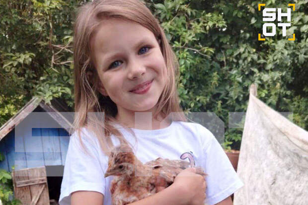 ТАСС: в Смоленске возле дома пропавшей заметили серое авто - его владельца ищут