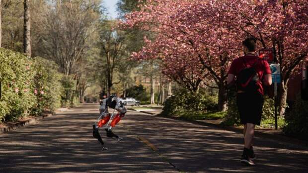 Agility Robotics Cassie robot running 5k