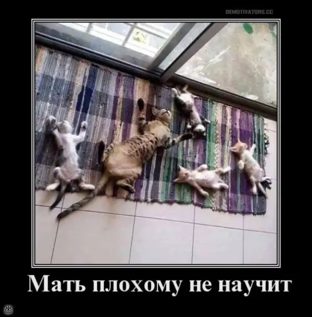 Объяснительная в полиции))