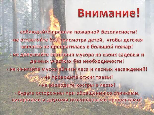 пресс-служба МЧС по СЗАО