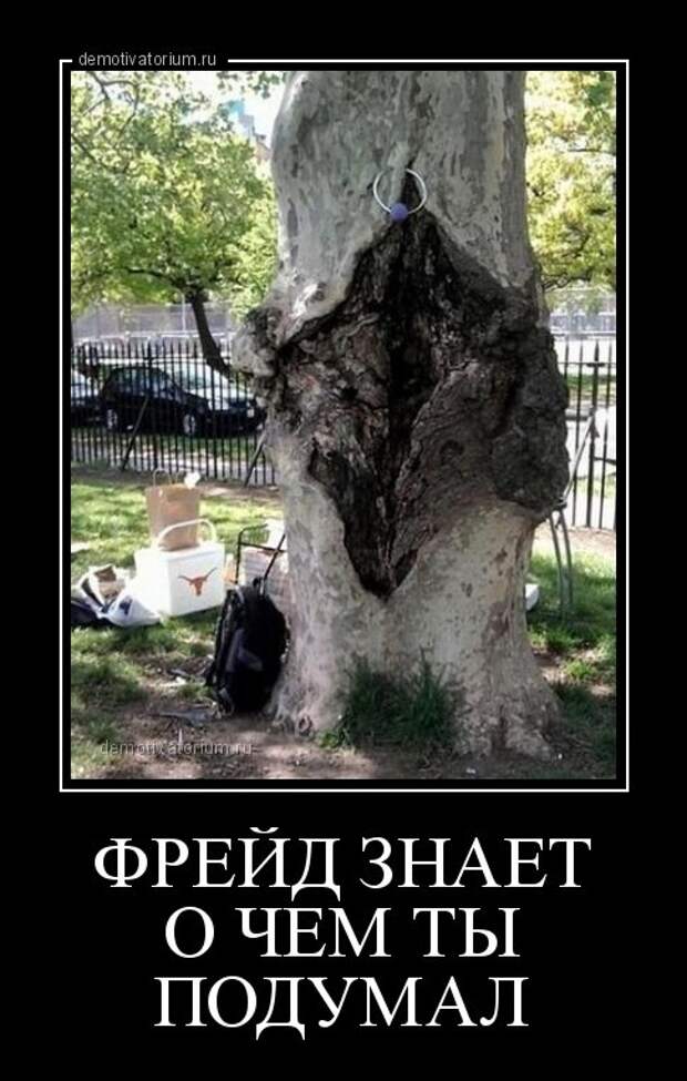 1476343635_demotivatory-11