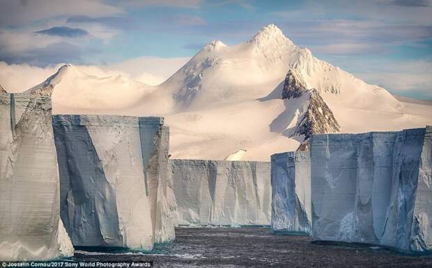 Белая стена. Группа айсбергов в Антарктике искусство, конкурс, красота, фото