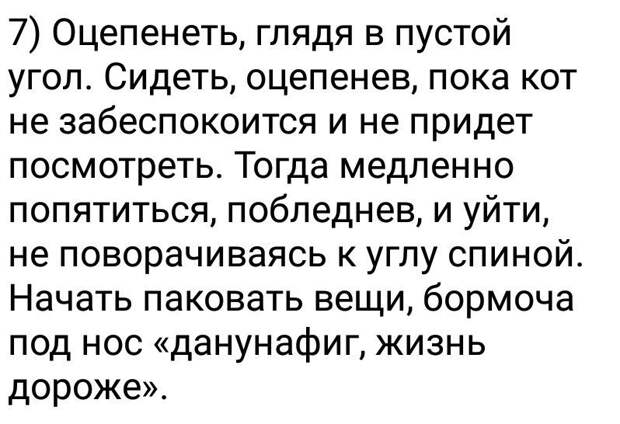 Наш ответ хвостатым животные, кошка, юмор