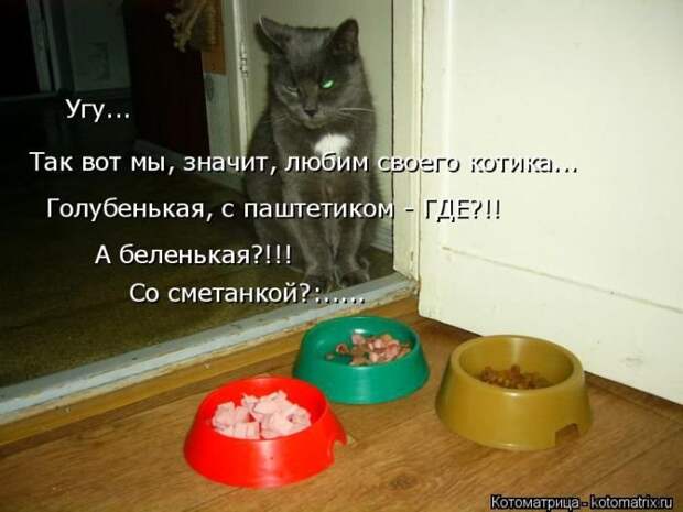 Котоматрицы великолепные, каждая с кусочком позитива и хорошего настроения!!!