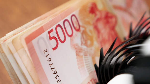 УФСБ по Дагестану сообщила о хищении маткапитала на сумму более 68 млн рублей