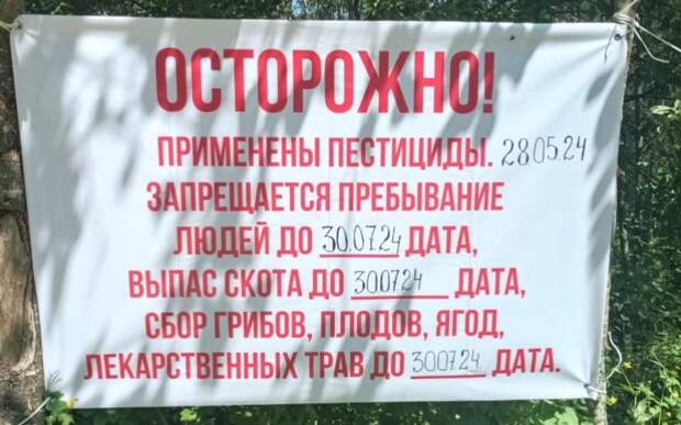 В Спасском районе запретили ходить в леса