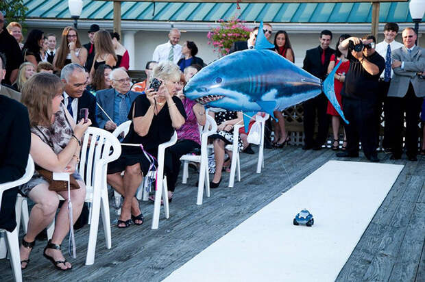 Ring Bearer For Jaws Themed Wedding