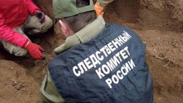 В Запорожской области продолжаются поисковые работы по обнаружению останков бойцов Красной армии