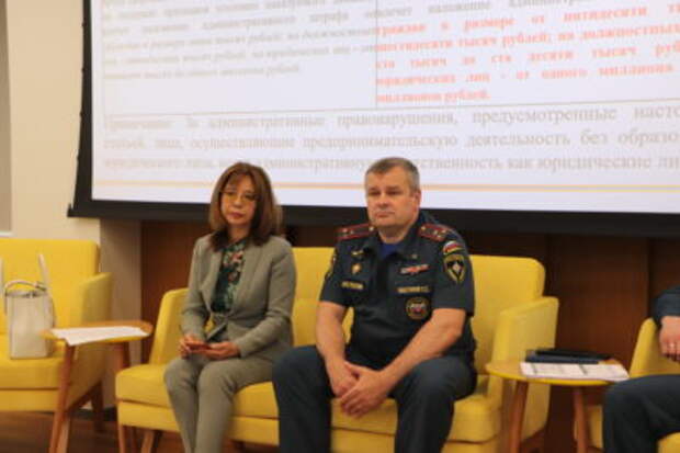 Елена Рулева и представитель МЧС по Ленобласти провели круглый стол для бизнес-сообществ