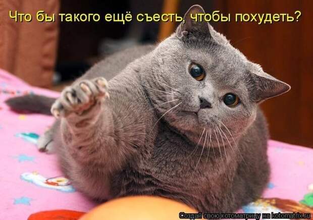 Что б еще такого съесть, что б похудеть? Что б еще такого съесть, что б похудеть?