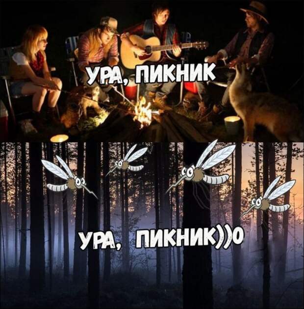 Фотоподборка