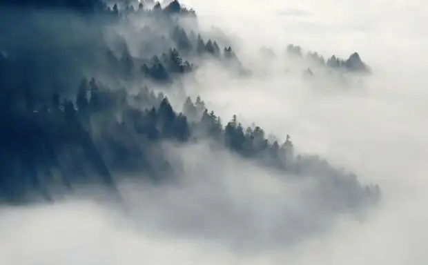 Несколько самолетов ушли на запасной аэродром Минеральных Вод из-за тумана в Сочи