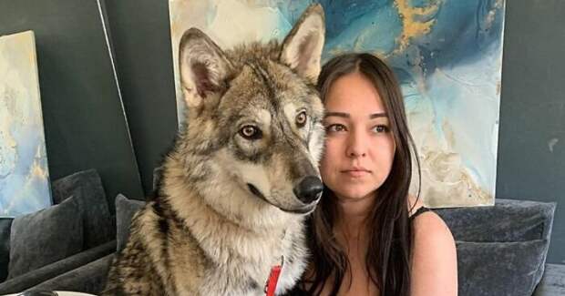 Россиянка спасла маленького волчонка и получила верного друга