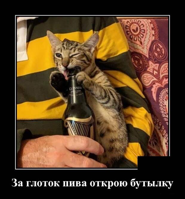 Демотиваторы (30 фото)