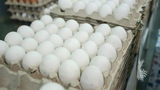 Рост оптовых цен на яйца не скажется на розничных, считает Минсельхоз
