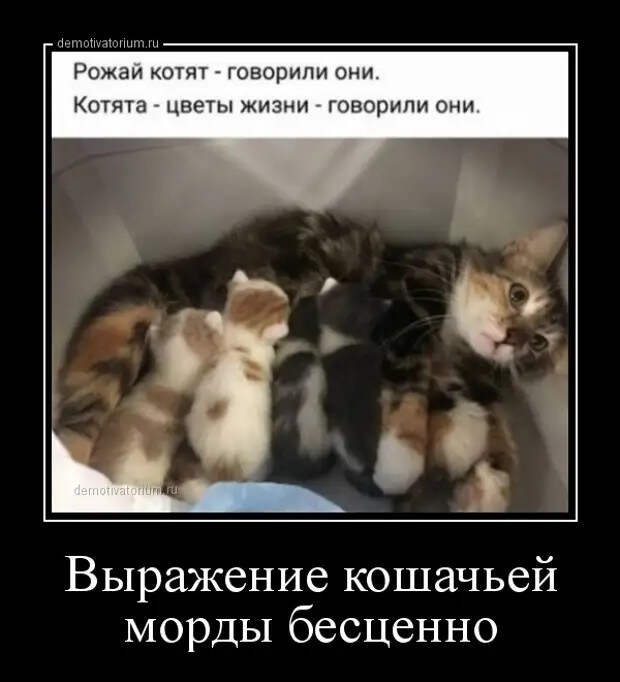 Свежие и зачетные демотиваторы из нашей жизни