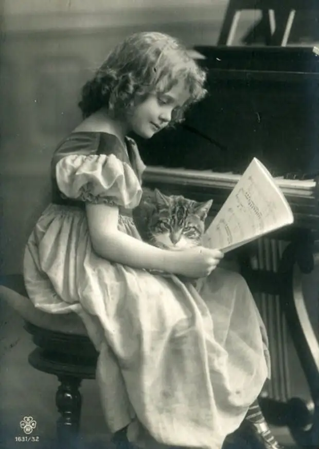 :   ,  ,        38 - BigPicture.ru