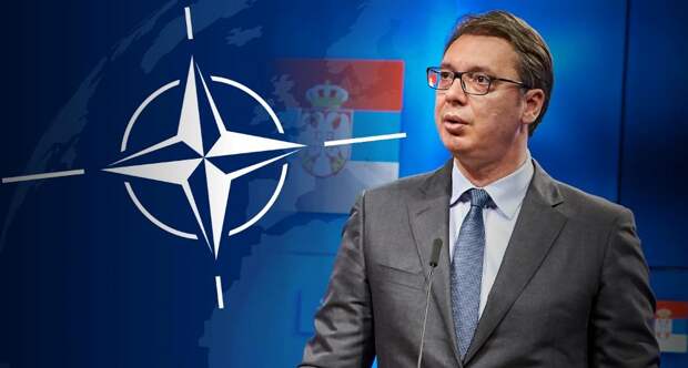 Сербия уже вступила в НАТО на правах холопа – Стеван Гайич