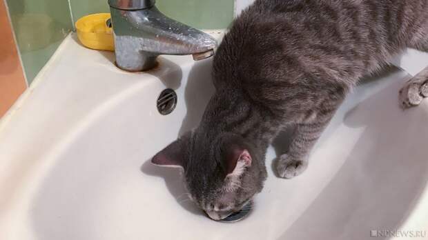 Новый год начался для жителей Чурилово проблемами с водоснабжением