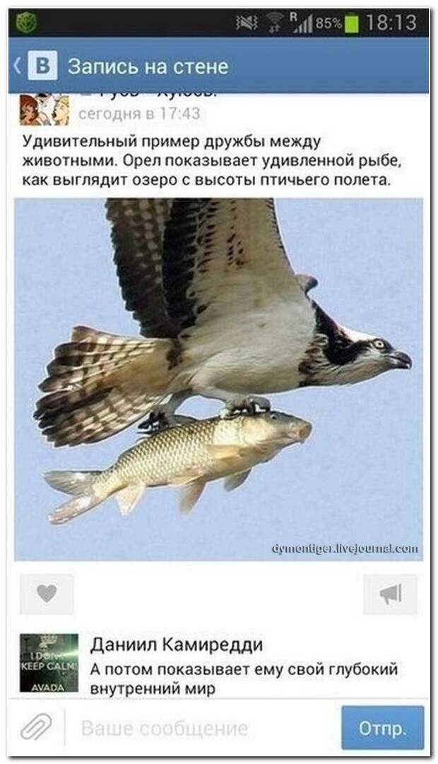 4352558