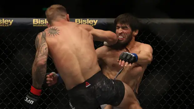 Россиянин Мустафаев потерпел поражение от Ридделла на турнире UFC Fight Night 168