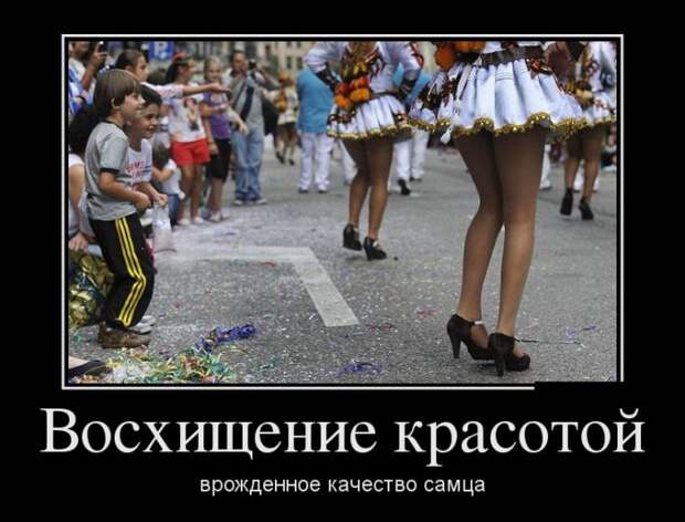 Демотиваторы