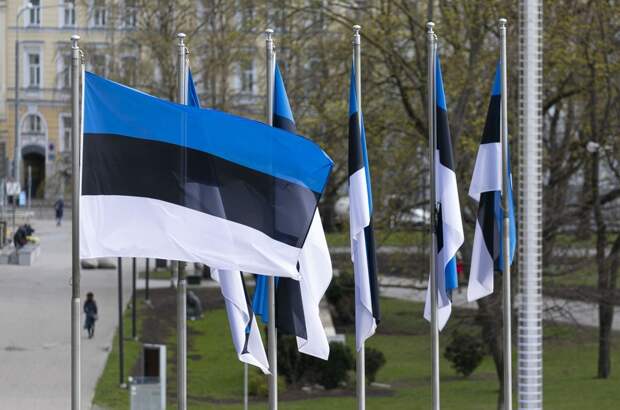 Эстония застроит территории, которые планировала обменять с РФ
