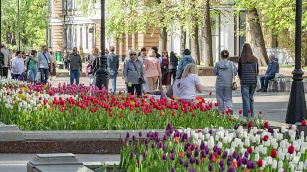 Синоптик Ильин прогнозирует потепление до +28 °С в конце мая в Москве