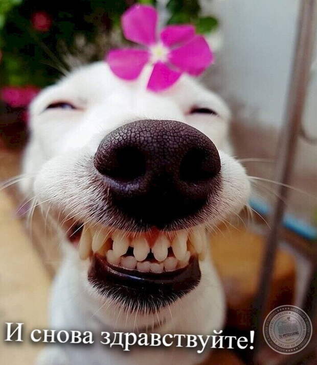 И снова здравствуйте