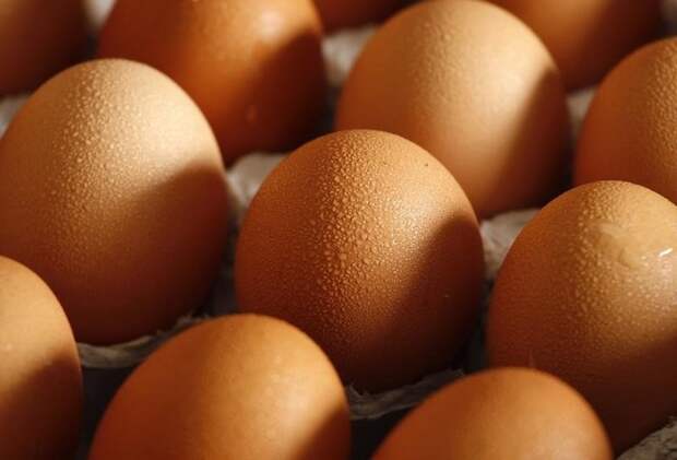 Как определить несвежесть продуктов питания
