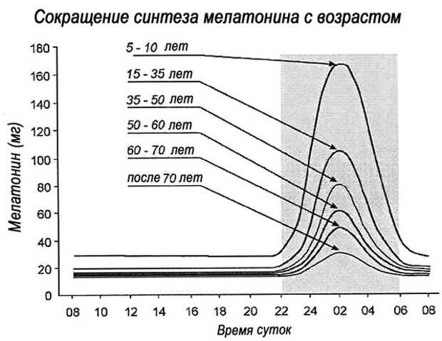 Мелатонин: гормон долгой жизни